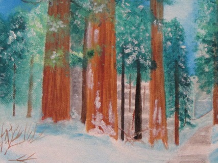Sequoia Path